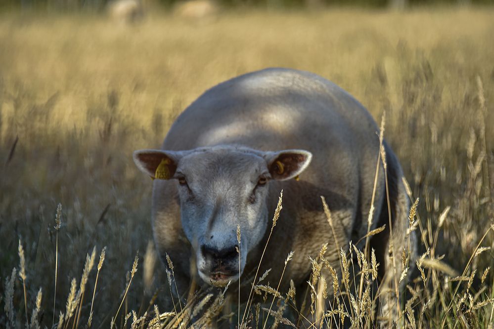 Photograph by Ирина Виноградова