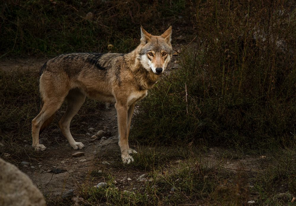 Photograph by Валерий Одинцов