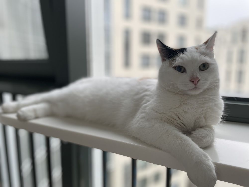 Фотография автора Марина Максимова