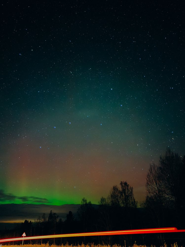 Photograph by Алиса Нежинская