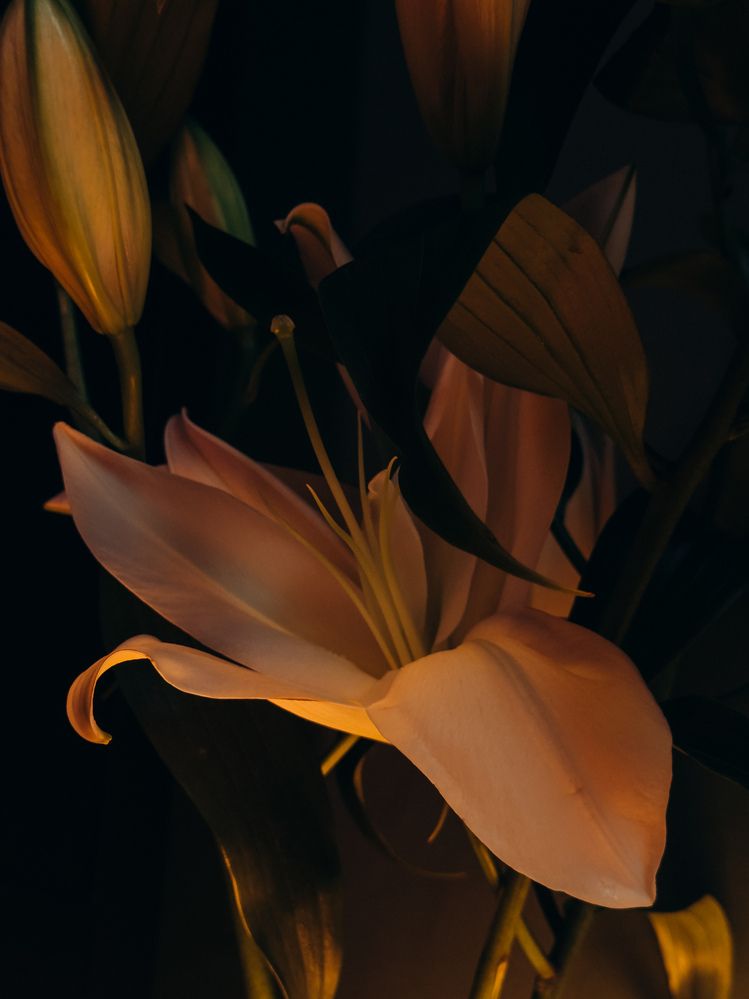 Photograph by Алиса Нежинская