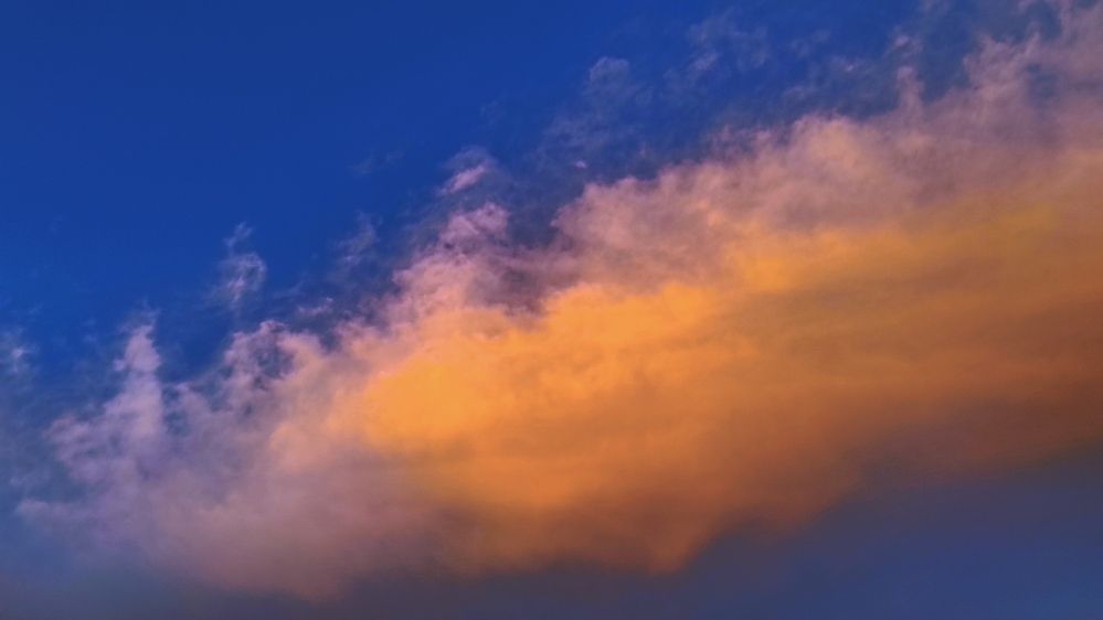 Photograph by Lidija Jevremovic