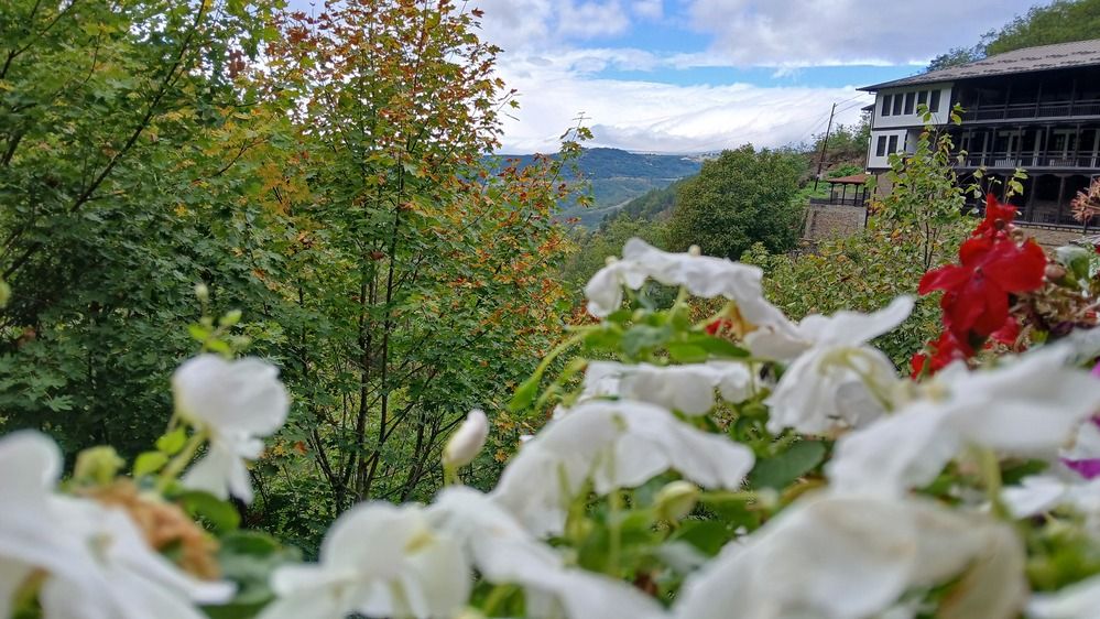 Photograph by Bojan Nikolovski