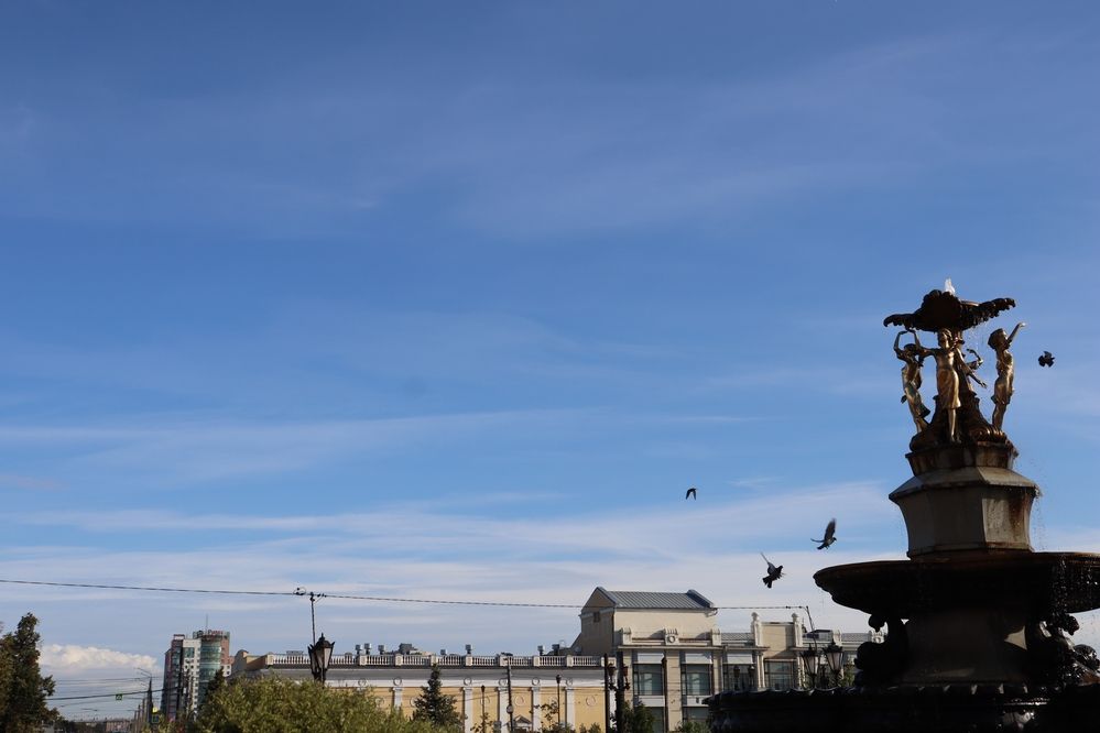 Свобода полёта