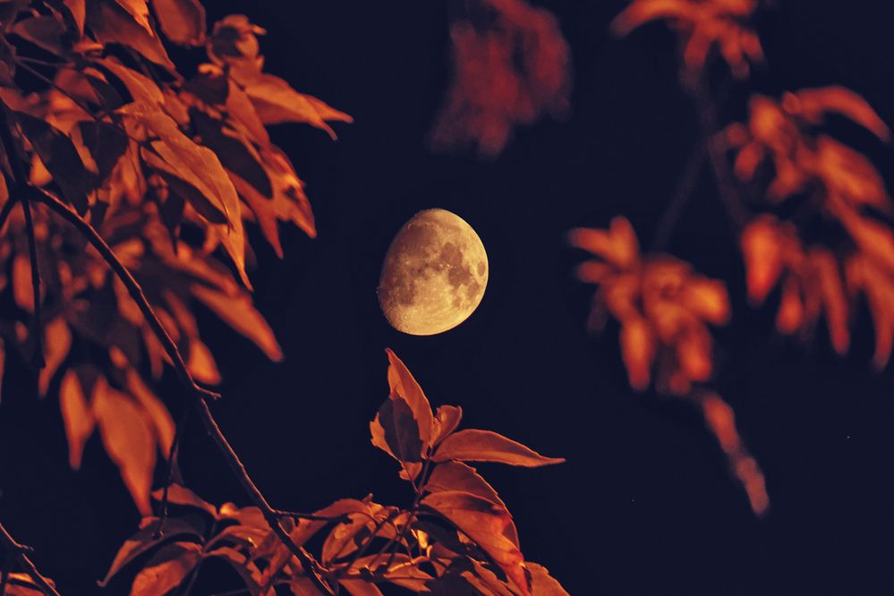 Photograph by Sergey Kudryashov