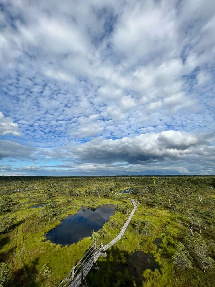 Photograph by Viktorija Bočarova