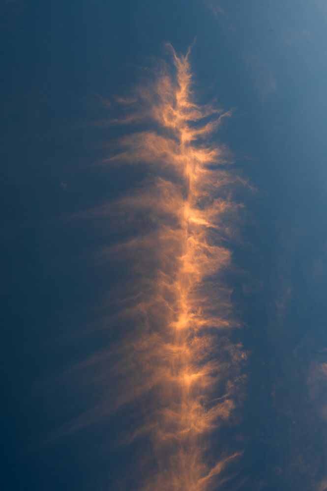 Photograph by ARANYA KAR