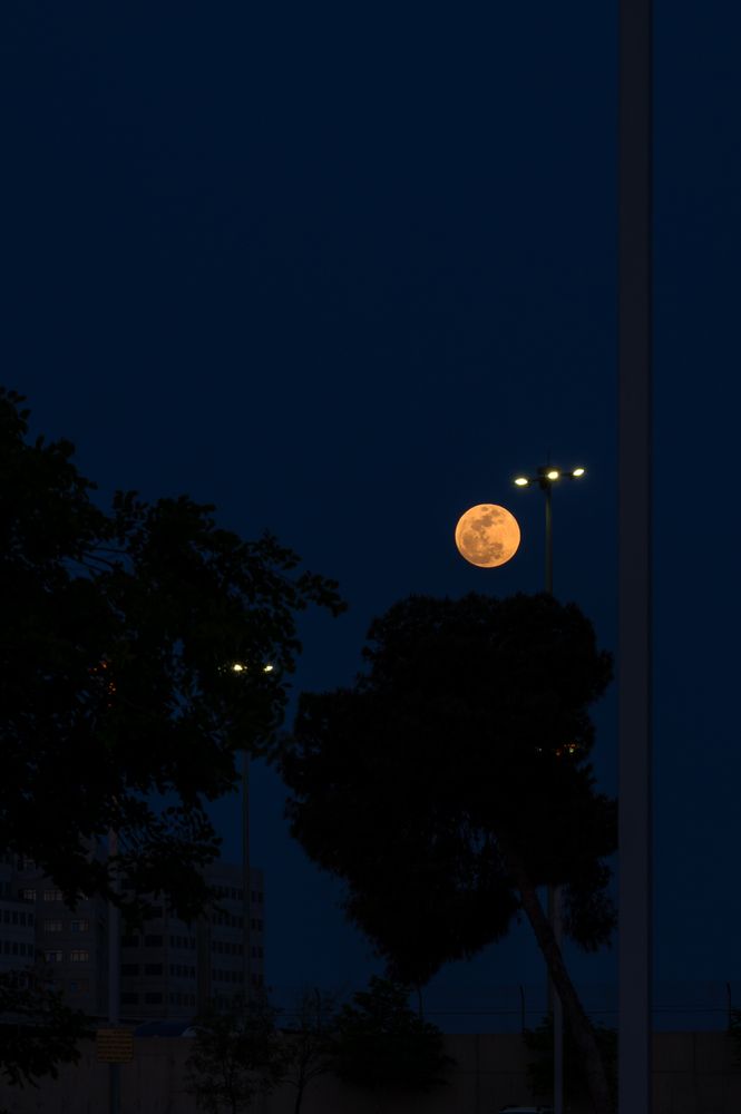 Photograph by ARANYA KAR