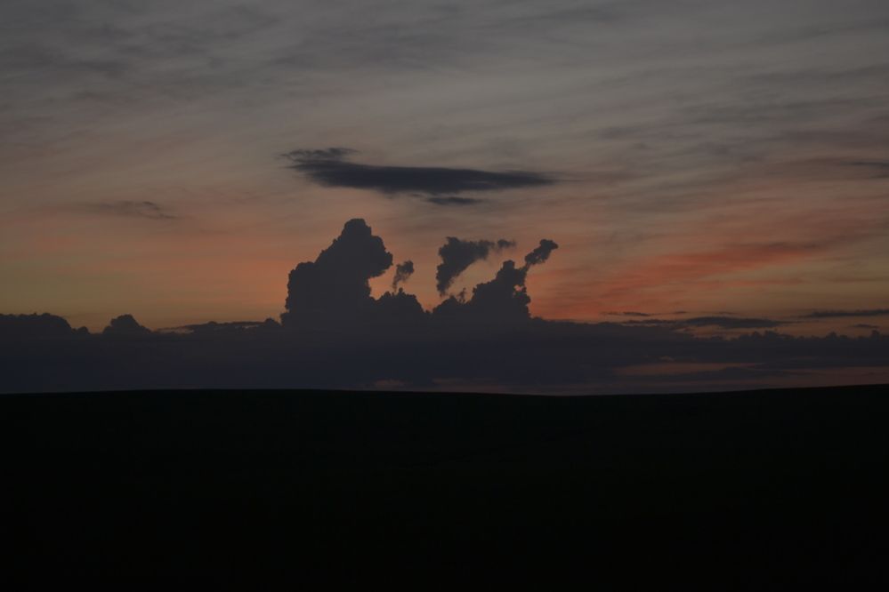 Photograph by Gildo de Campos Correa