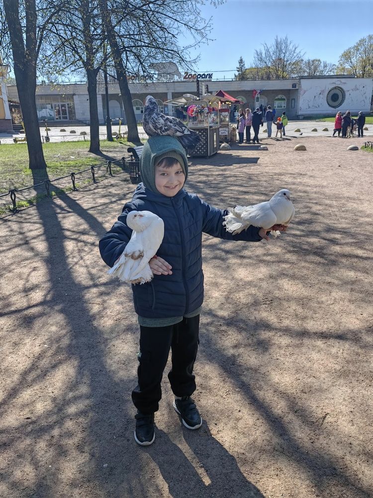 Фотография автора Ольга Петрова