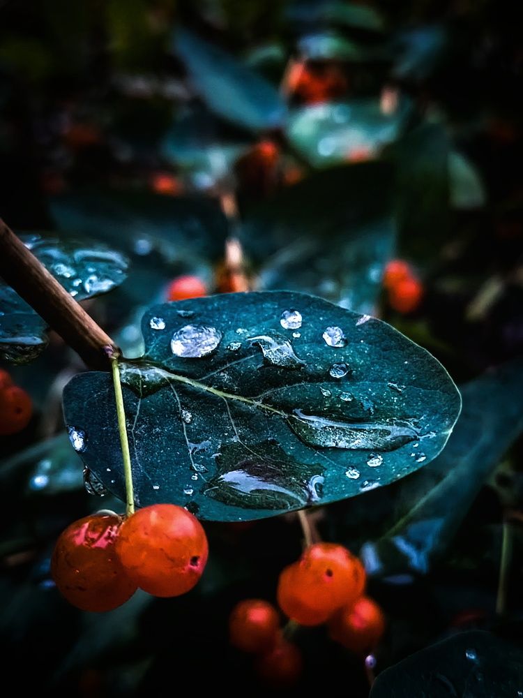 Photograph by Владимир Сушкин