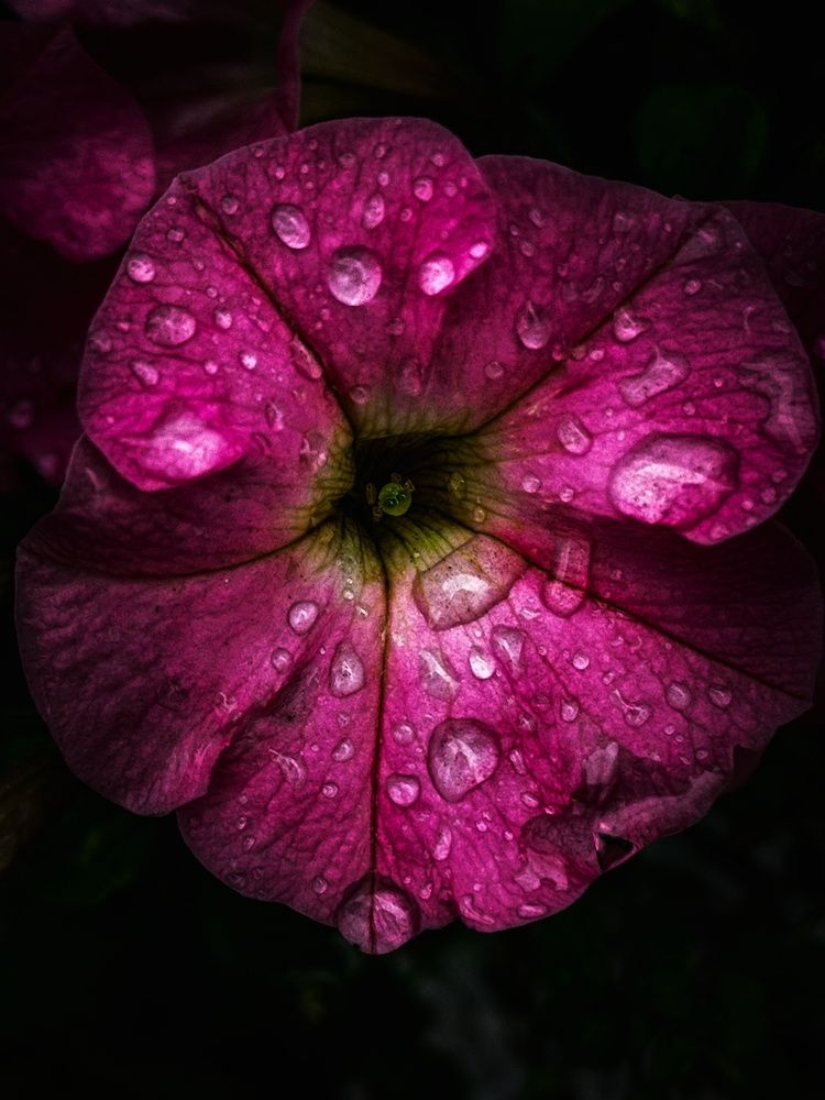 Photograph by Владимир Сушкин