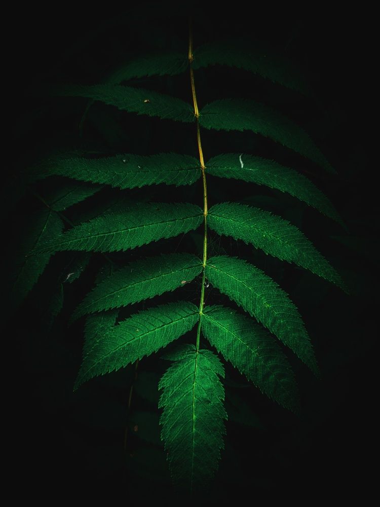 Photograph by Владимир Сушкин