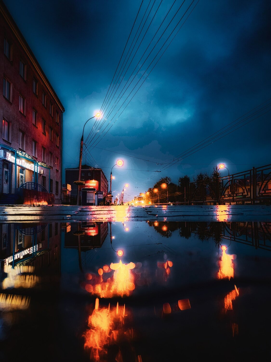 Photo #12540222