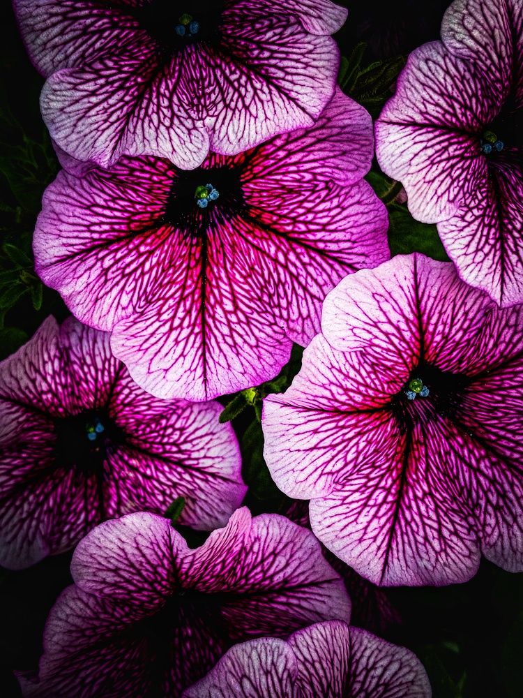 Photograph by Владимир Сушкин