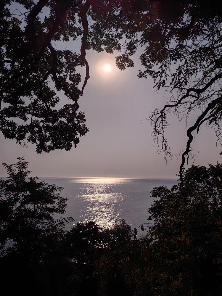 Photograph by Гузель Вильданова