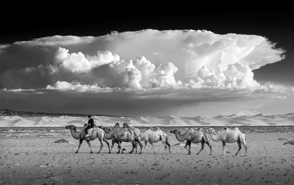 Photograph by Анатолич