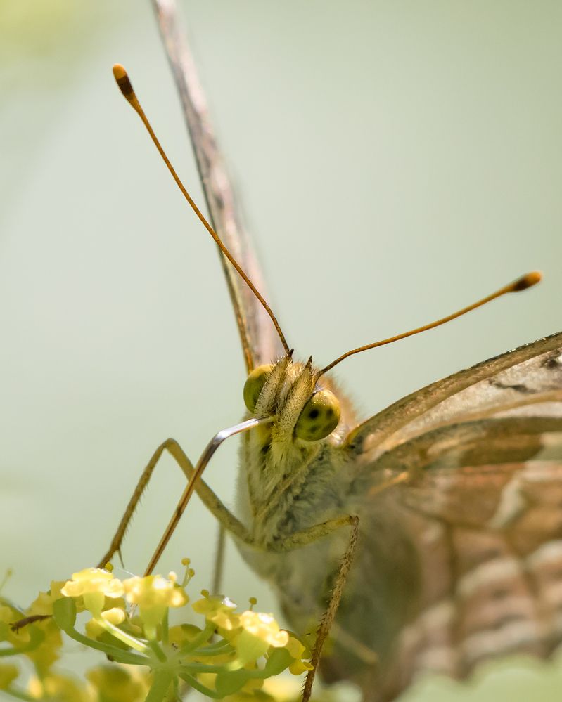 Photograph by Лапин Сергей