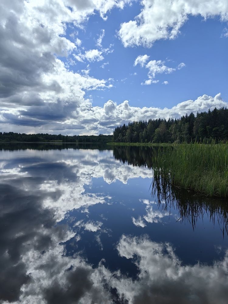 Photograph by Светлана Зыкова