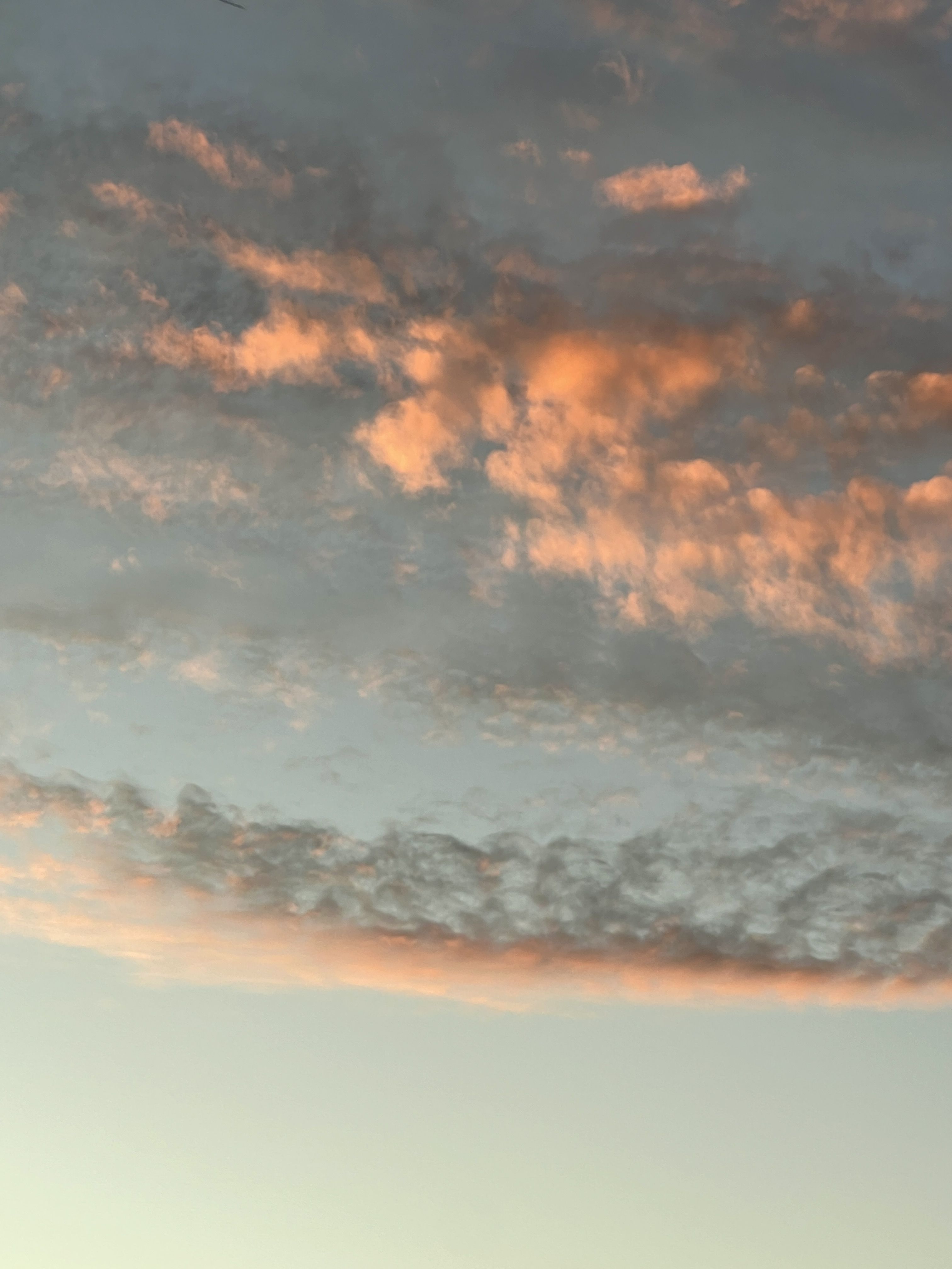 Photograph by Eugenia Schmidt