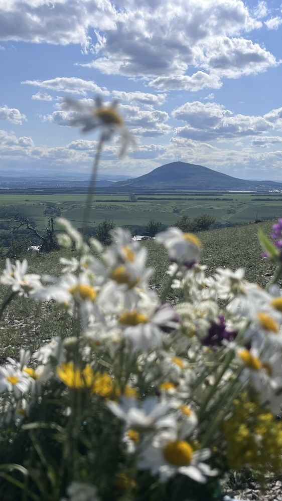 Photograph by Марина Подольная