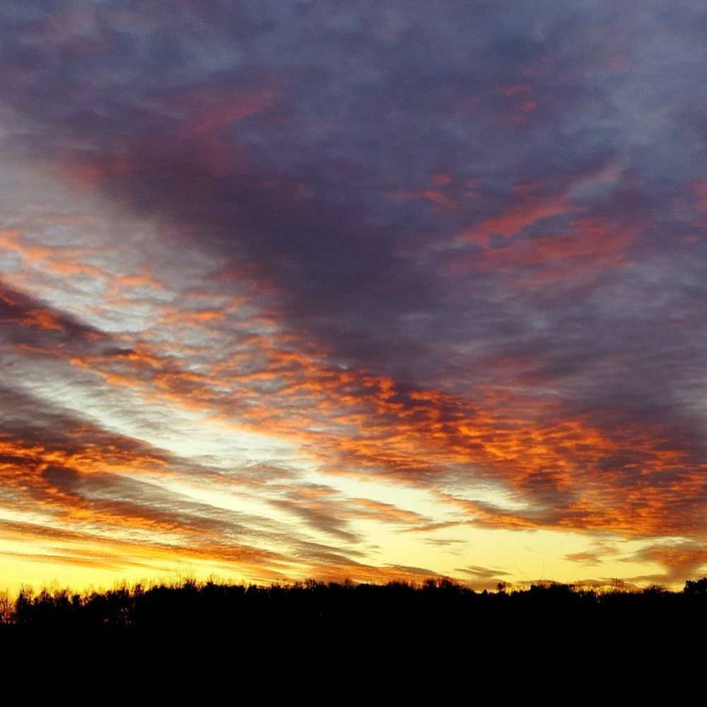 Photograph by Ольга Меркурьева