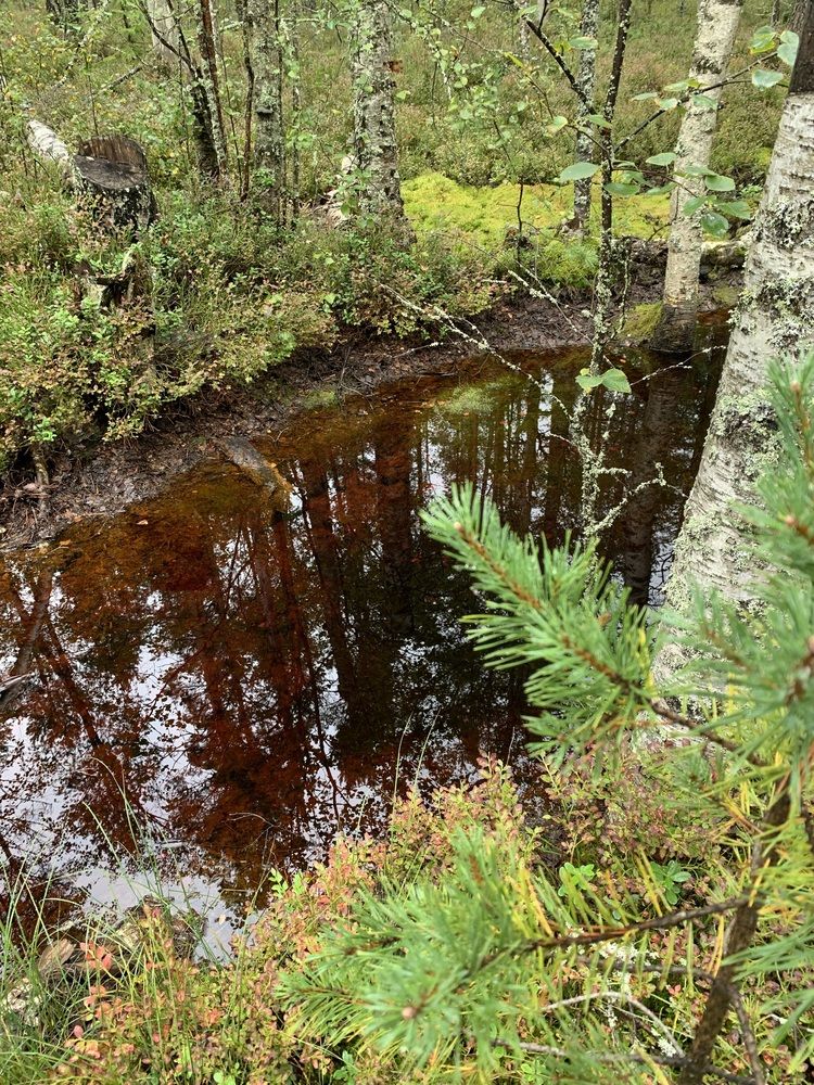 Photograph by Елена