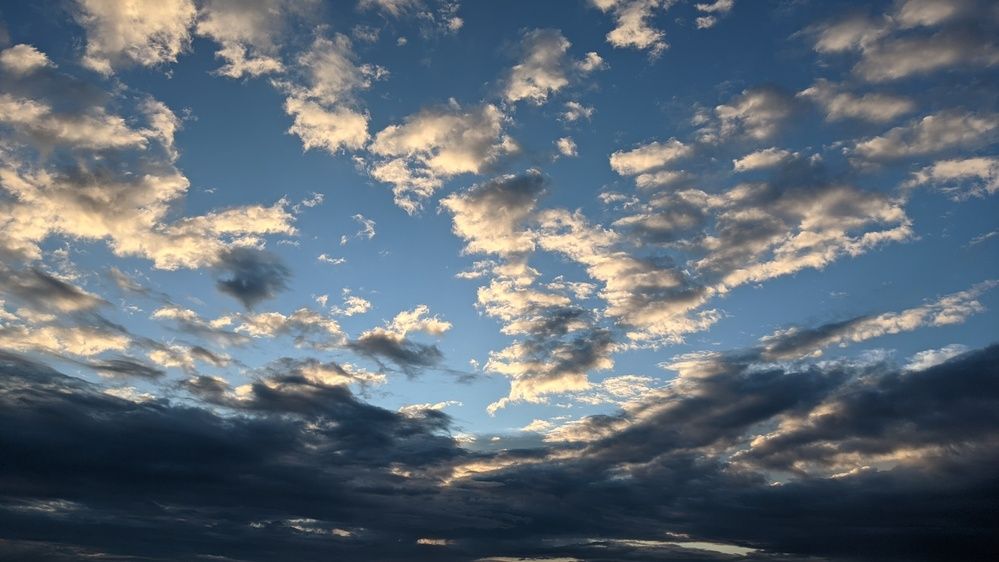 Photograph by Vijayakumar