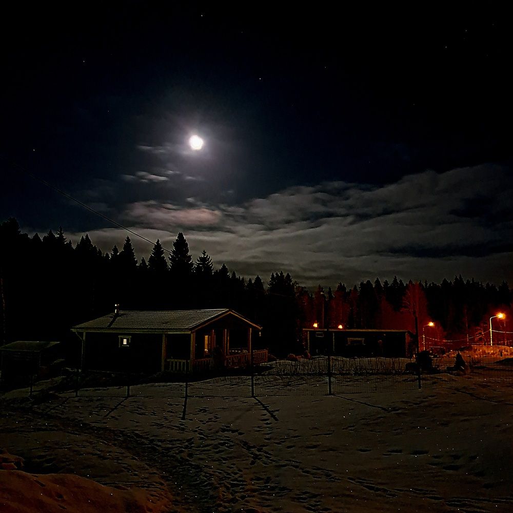 Photograph by Галина Перепечаева