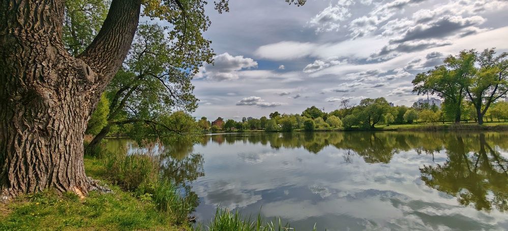 Photograph by Ирина Подлубная