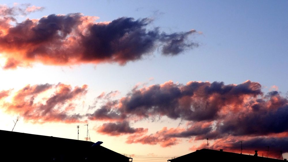 Photograph by Сергей Хвостовец