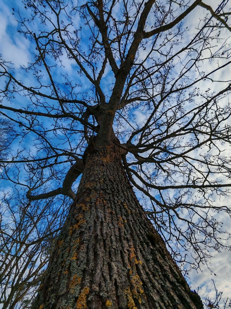 Photograph by Ирина Подлубная