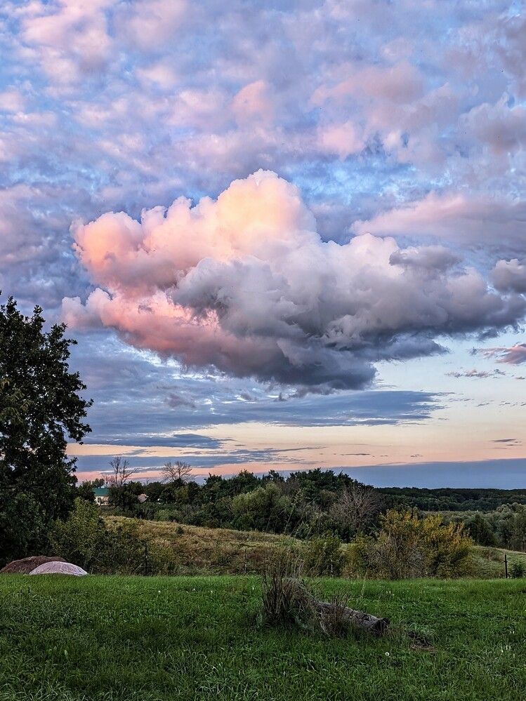 Photograph by Любовь Колмакова