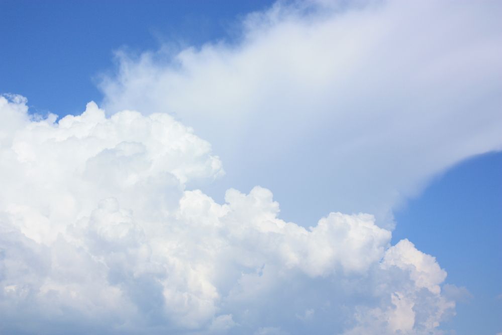 Фотография автора Мария Мостовщикова