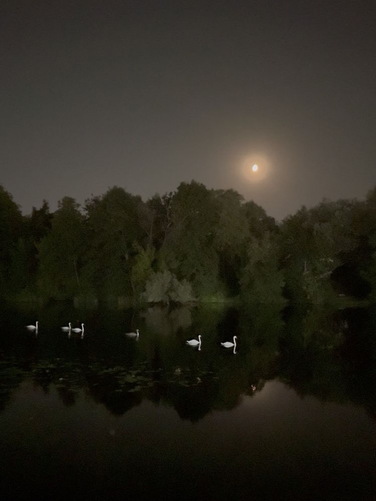 Photograph by Жанна Колесникова