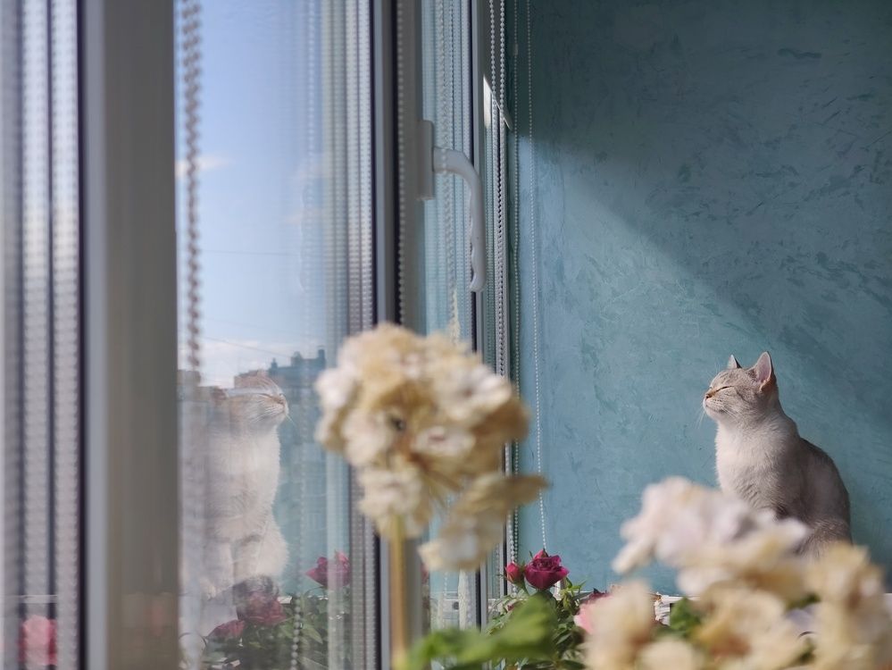 Photograph by Евгений Кириллов