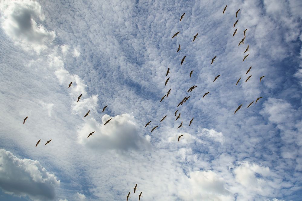 Photograph by Алексей Козлов