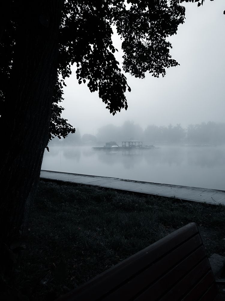 Photograph by Константин Шипицын