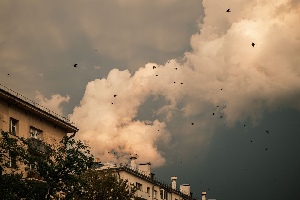 Photograph by Максим Селиванов