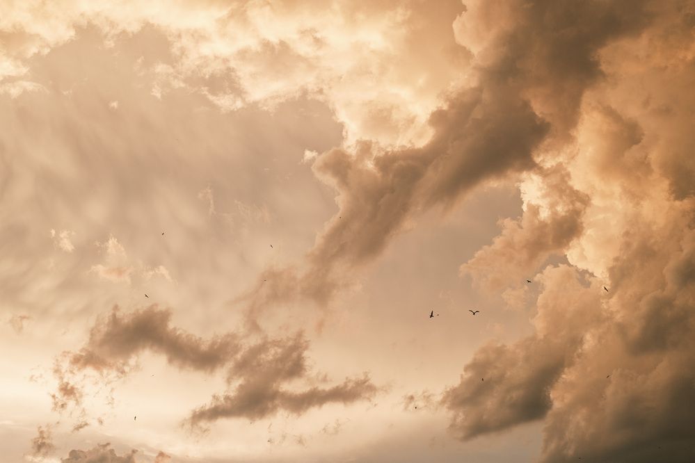 Photograph by Максим Селиванов