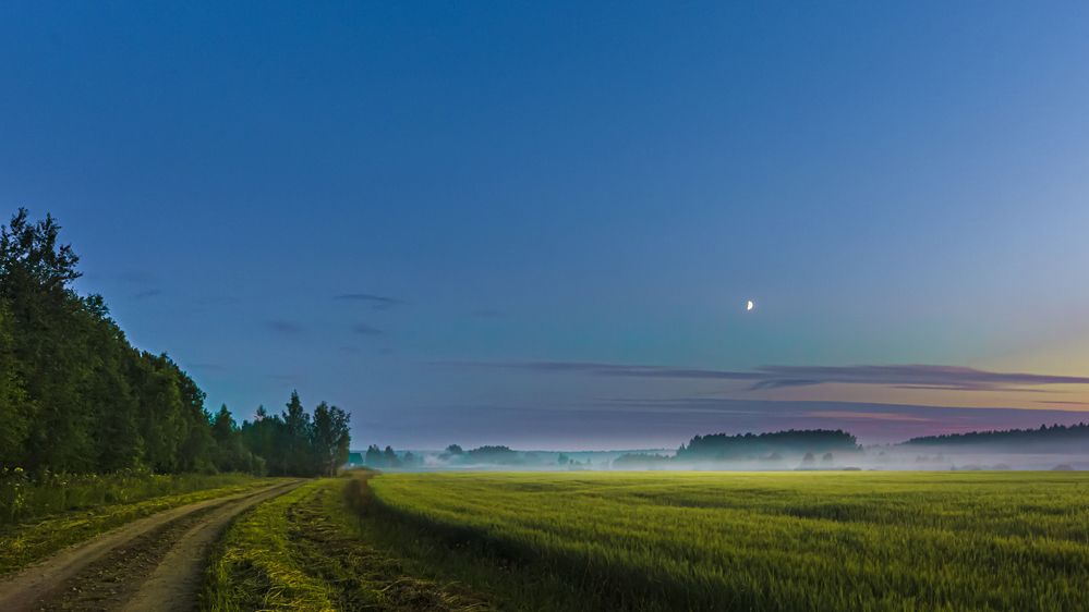 ТУМАН И ЗОЛОТО ПОЛЯ В СИЯНИИ ЛУНЫ