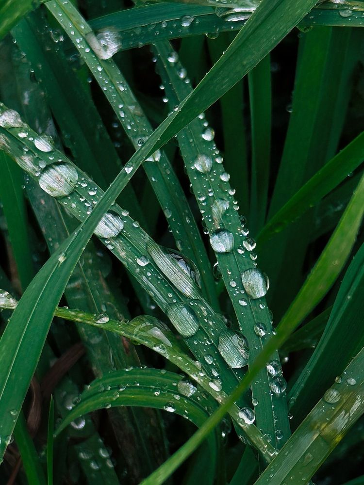 Photograph by Анна Ермак