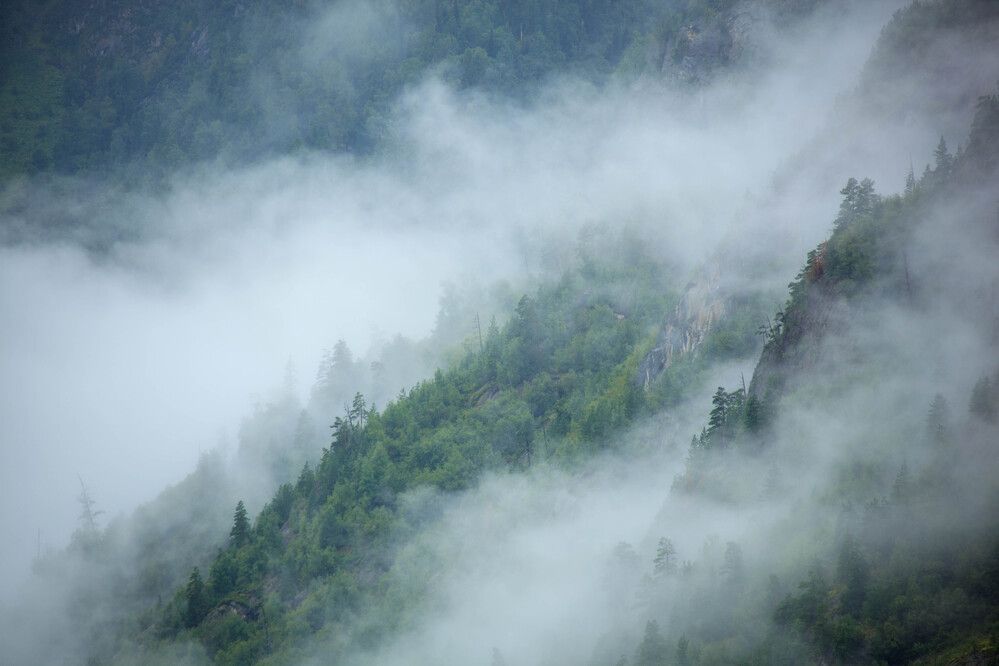 Photograph by Никита Караваев