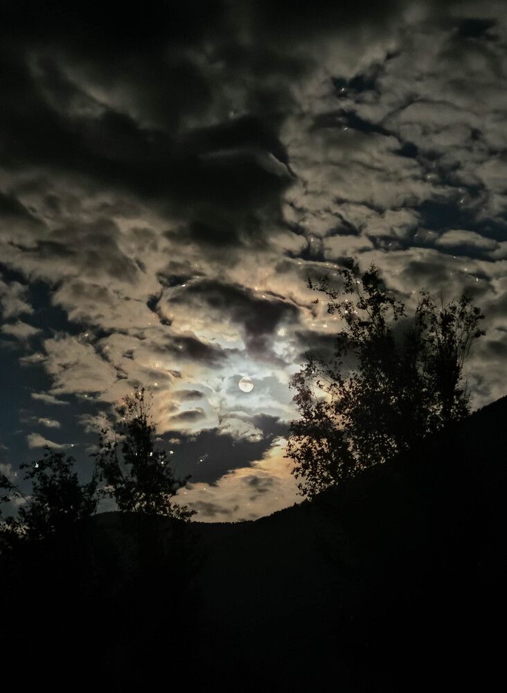 Photograph by Никита Караваев