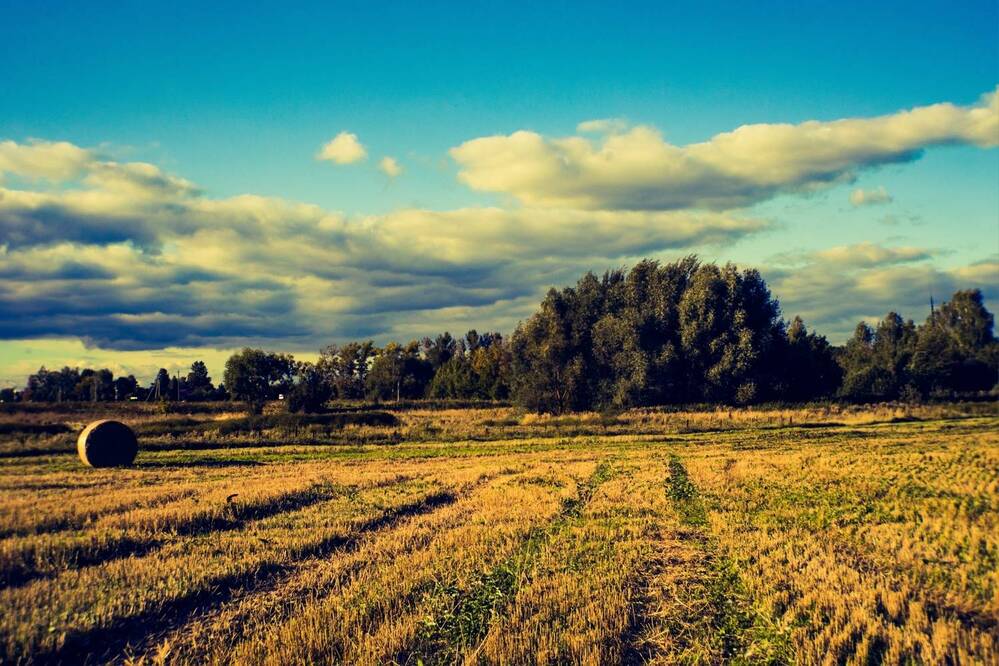 Photograph by Оксана Серёгина