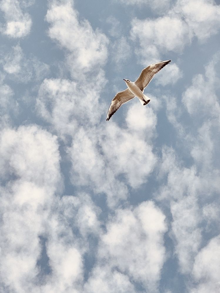 Photograph by Ирина Толстых