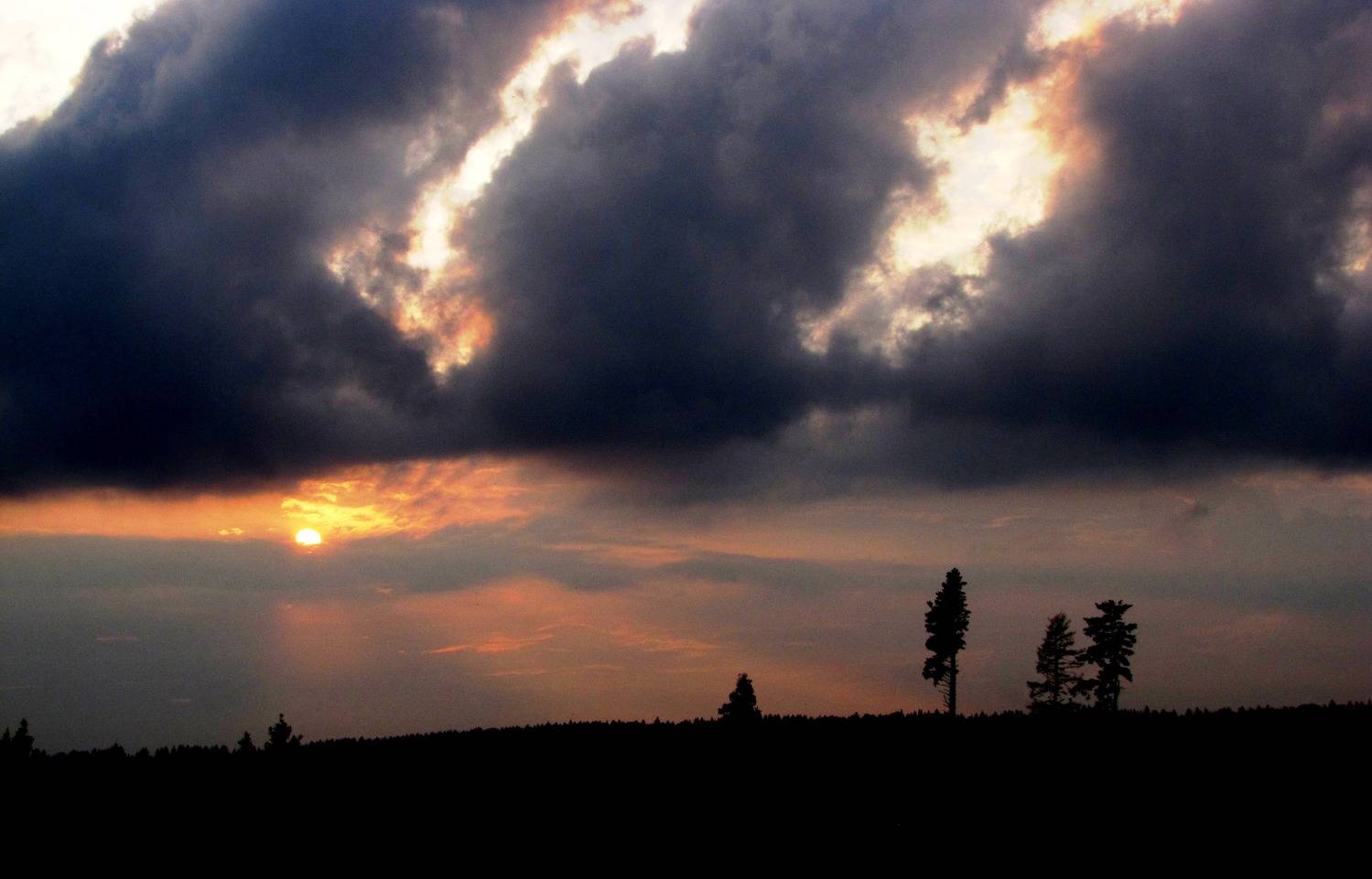 Photo #12541149