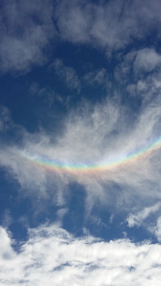 Photo #12541159
