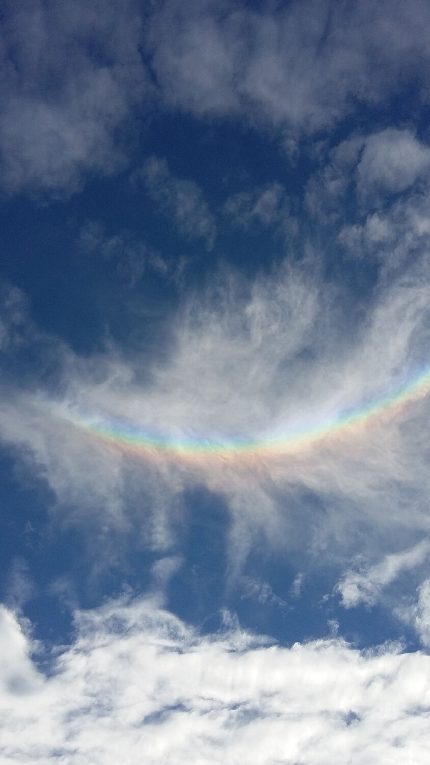 Photo #12541159