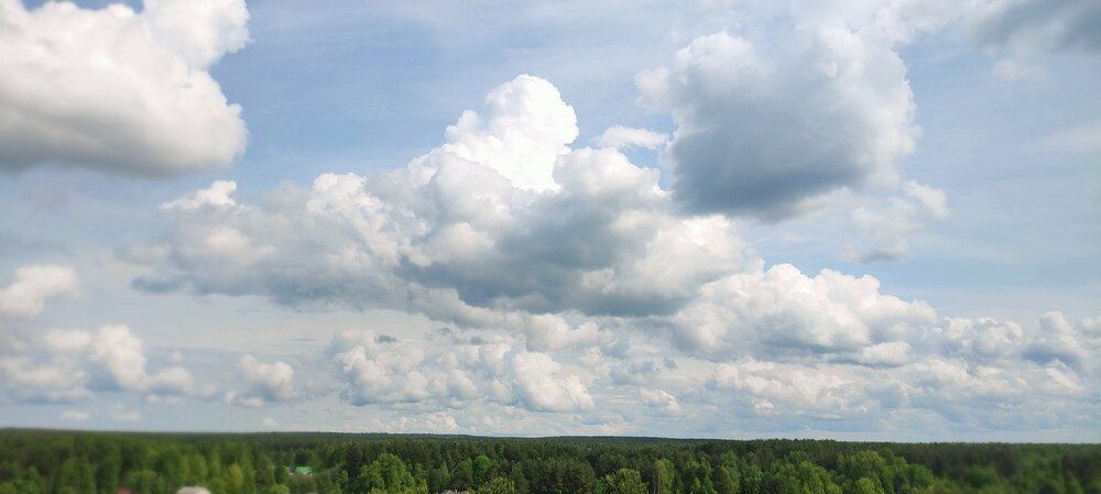 Photograph by Юлия Новожилова